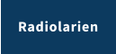 Radiolarien