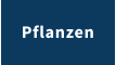 Pflanzen