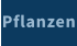 Pflanzen